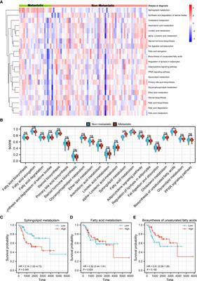 Sphingolipid metabolism is associated with osteosarcoma metastasis and prognosis: Evidence from interaction analysis